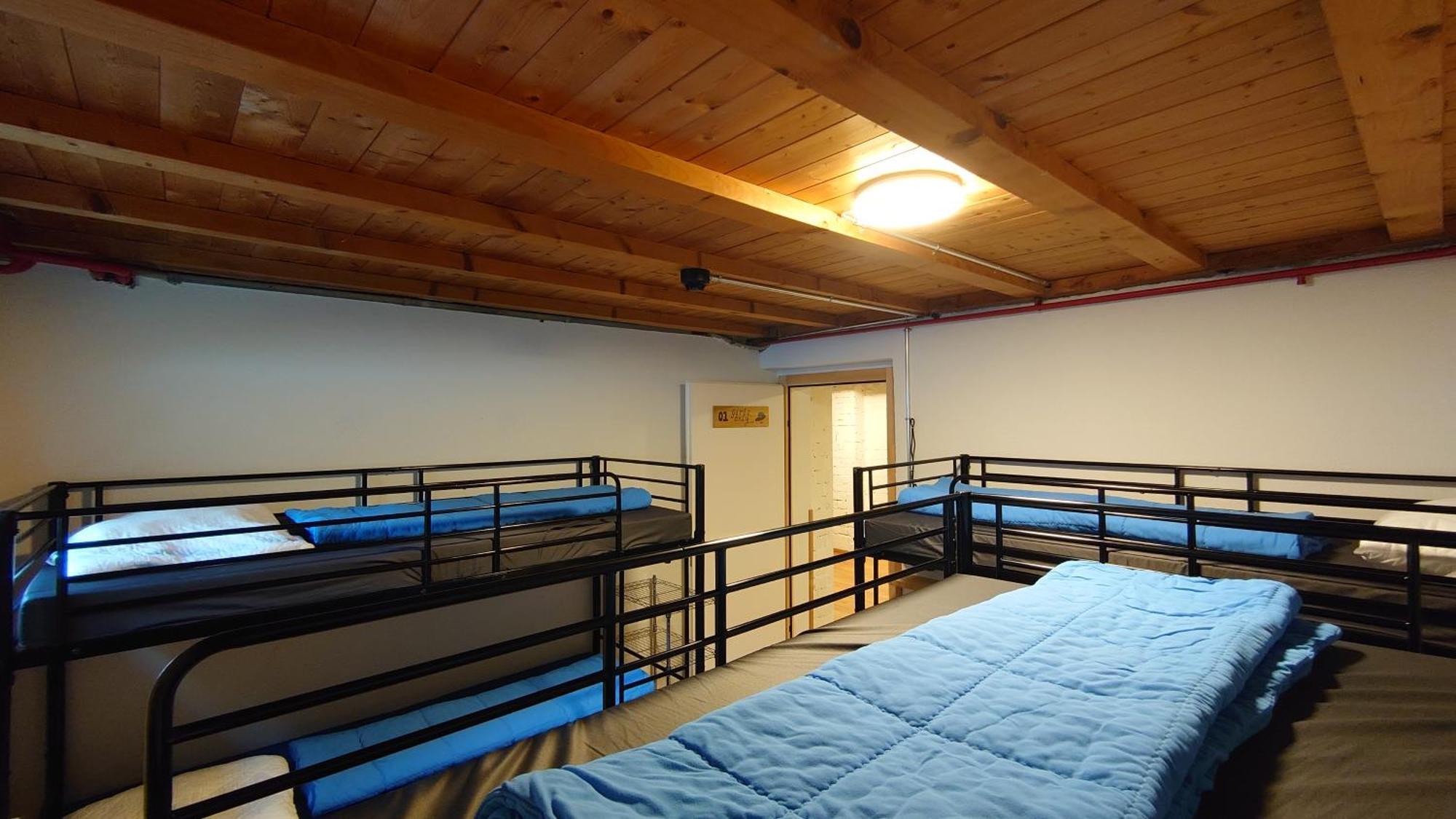 Bed in 6-Bed Female Dormitory Room with Shared Bathroom